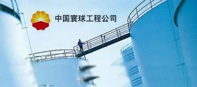 工程公司 中石油的当家工程力量，defined by process化工网视角下的石油化工工程